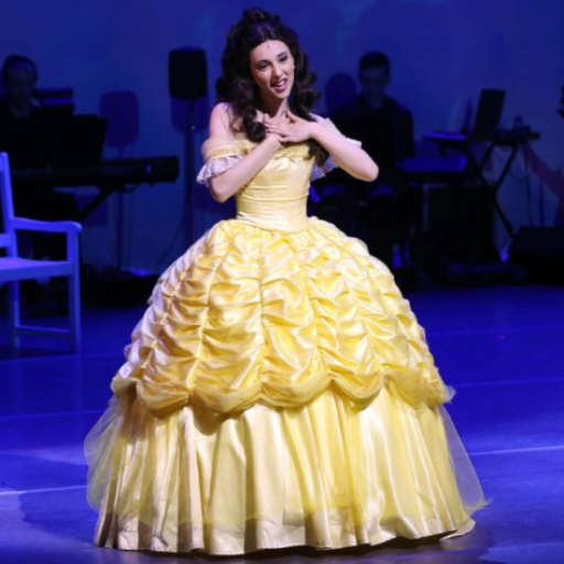 A Dream is a Wish Princess Concert Tickets
