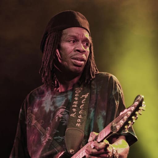 Bernard Allison St. Petersburg Tickets