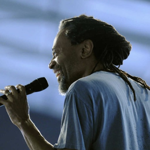 Bobby McFerrin St. Petersburg Tickets