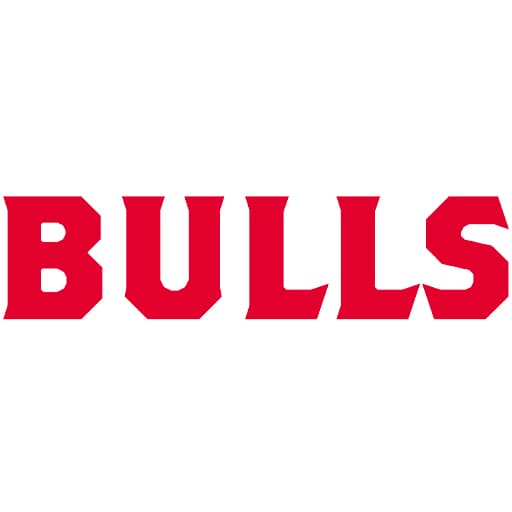 Bulls in the Ballpark Tickets