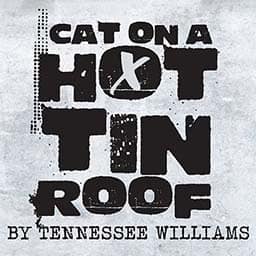 Cat On A Hot Tin Roof in St. Petersburg
