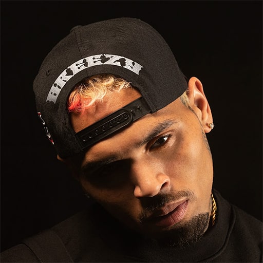 Chris Brown Concerts in St. Petersburg