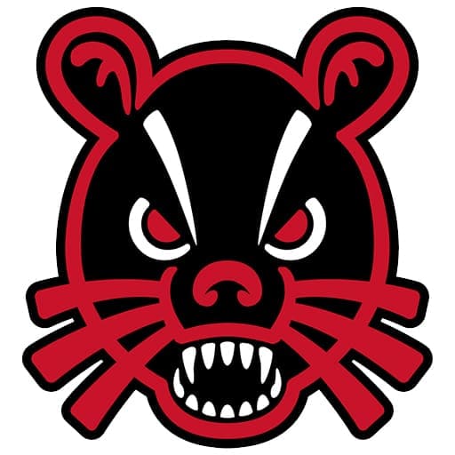 Cincinnati Bearcats Football Tickets