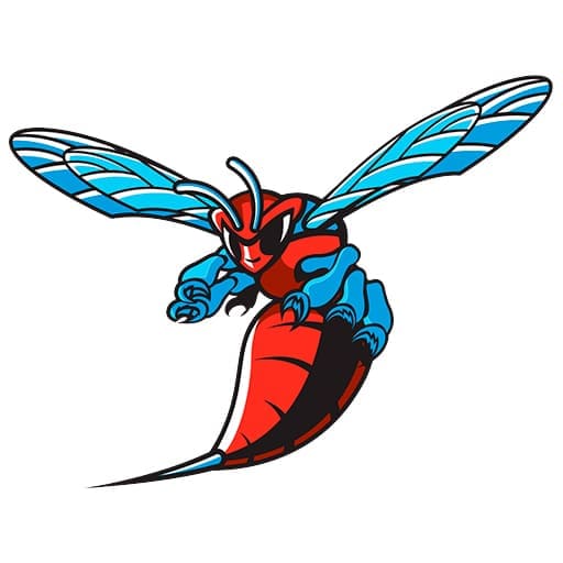 Delaware State Hornets Football Tickets