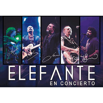 Elefante St. Petersburg Tickets