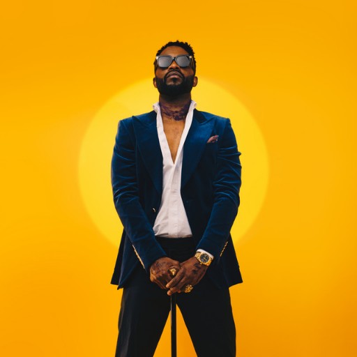 Fally Ipupa St. Petersburg Tickets