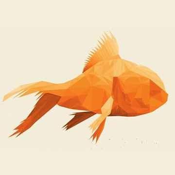 Goldfish St. Petersburg Tickets