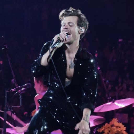 Harry Styles Night St. Petersburg Tickets