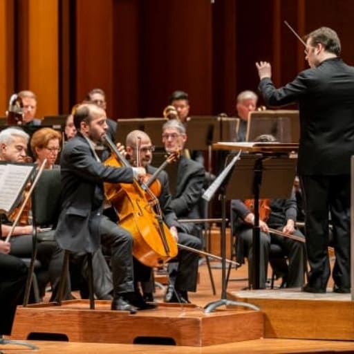 Haydn Tickets