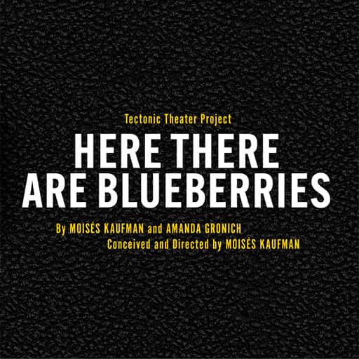 Here There Are Blueberries Tickets