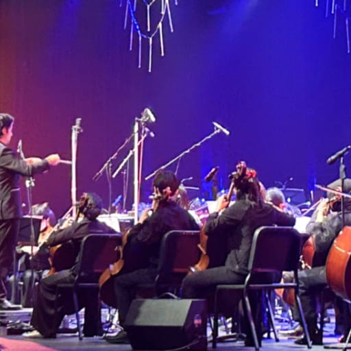 Musical Mindfulness St. Petersburg Tickets