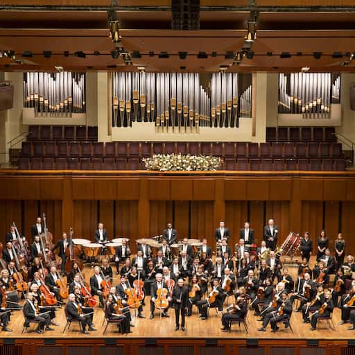 National Symphony Orchestra St. Petersburg Tickets