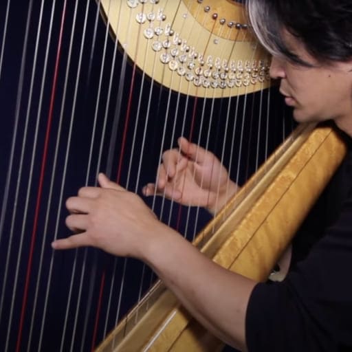 Open Harp Workshop St. Petersburg Tickets