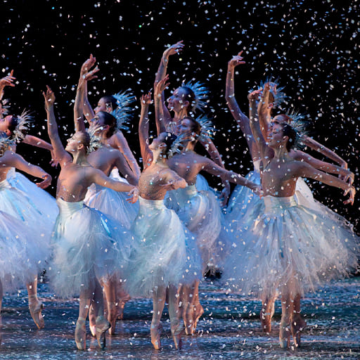 Phoenix Symphony Tickets