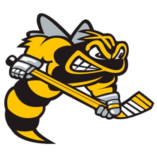 Sarnia Sting Tickets