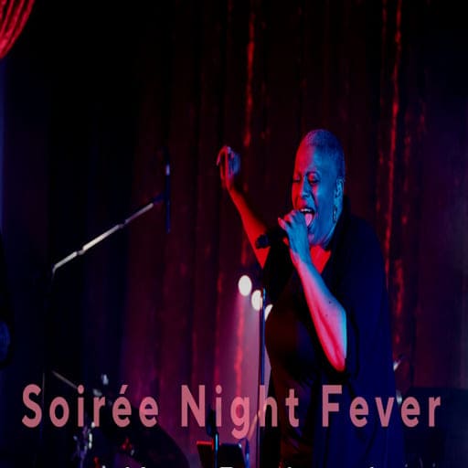 Soiree Night Fever St. Petersburg Tickets