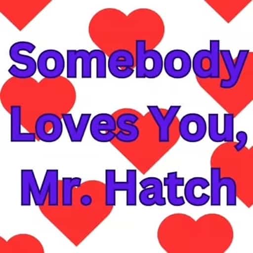 Somebody Loves You Mr. Hatch St. Petersburg Tickets