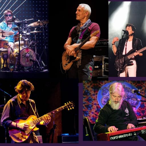 The Gilmour Project St. Petersburg Tickets