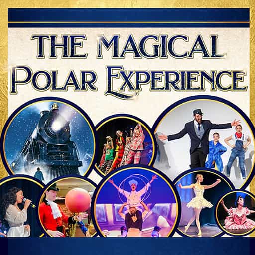 The Magical Polar Experience in St. Petersburg