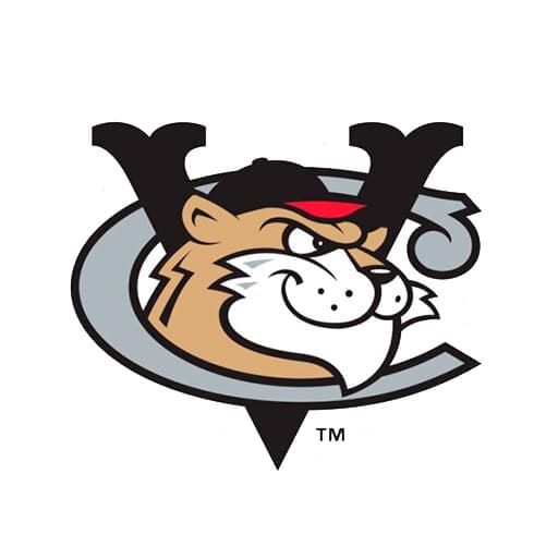 Tri-City ValleyCats Tickets
