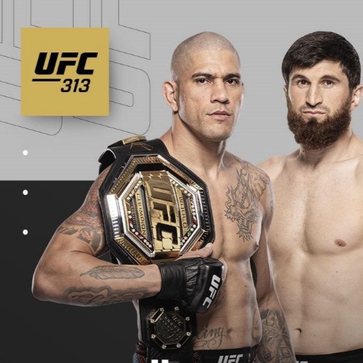 UFC 313 Tickets