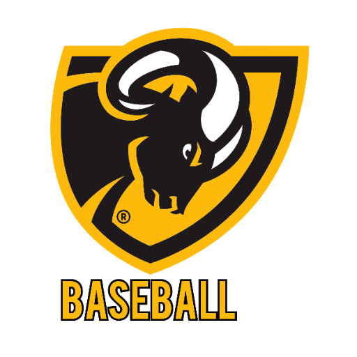 Virginia Commonwealth Rams Baseball Tickets