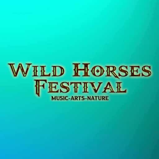 Wild Horses Music Festival St. Petersburg Tickets
